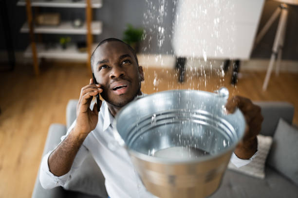 Best Water damage cleanup near me  in Cedar Grove, WI