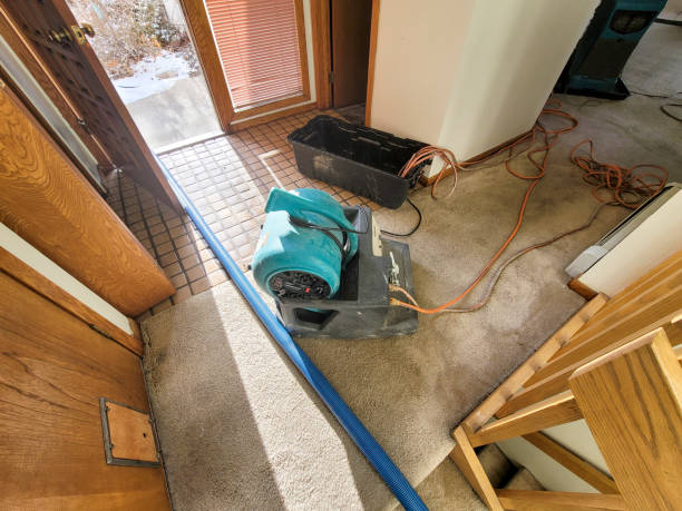 Best Fire Damage Restoration  in Cedar Grove, WI