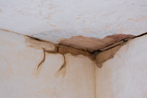 Best Water damage restoration near me  in Cedar Grove, WI