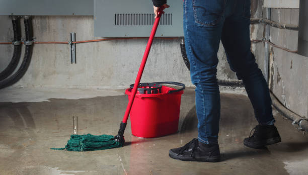 Best Flooded house restoration  in Cedar Grove, WI