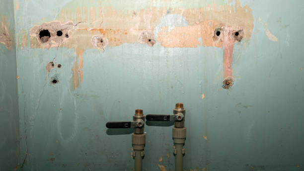 Best Professional water damage repair  in Cedar Grove, WI