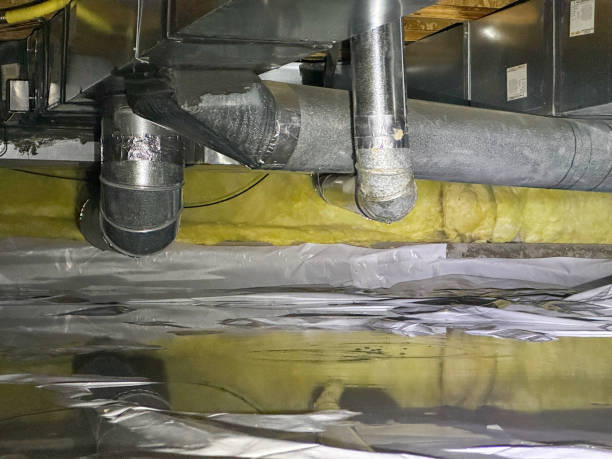 Best Basement water damage restoration  in Cedar Grove, WI