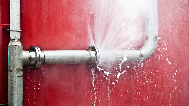 Best Carpet water damage restoration  in Cedar Grove, WI