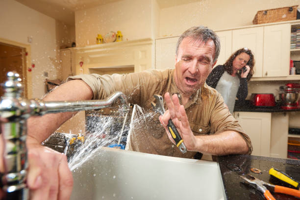 Best Local water damage restoration  in Cedar Grove, WI